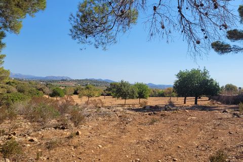Helårsgrund i Manacor, Mallorca, Manacor - € 390.000 | Ref: 1706 - foto 7